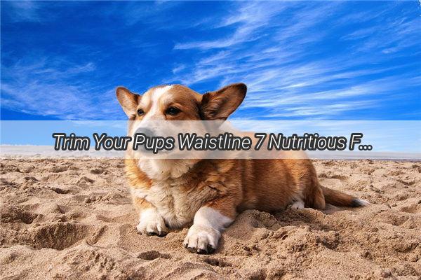 Trim Your Pups Waistline 7 Nutritious Foods That Will Help Your Dog Shed Pounds Fast